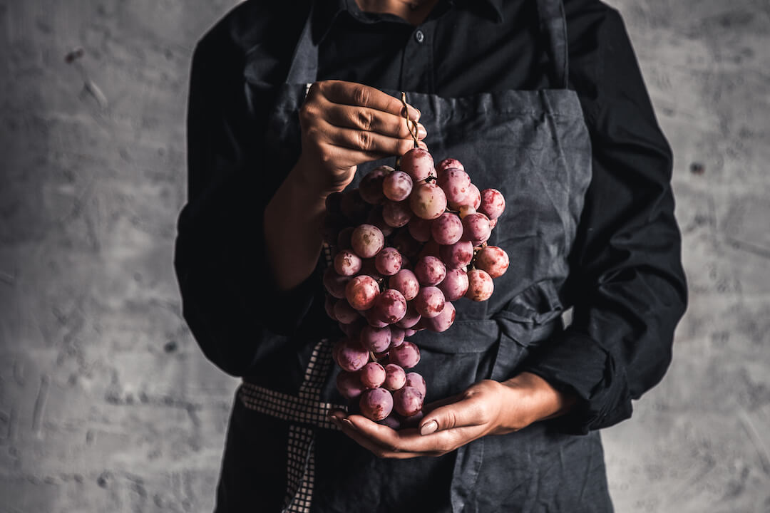 Raisins de cépages de rouge en main sur un fond gris