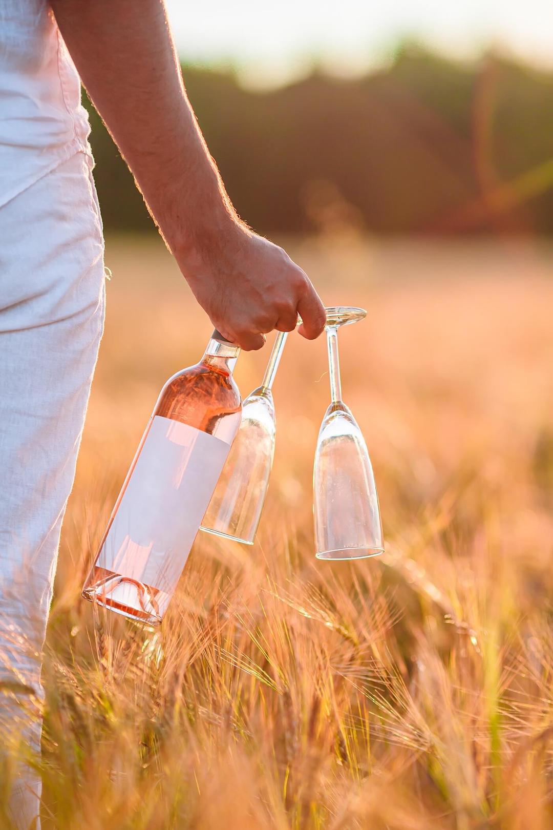 Two glasses and rose wine in the hand of a man walking on a wheat meadow