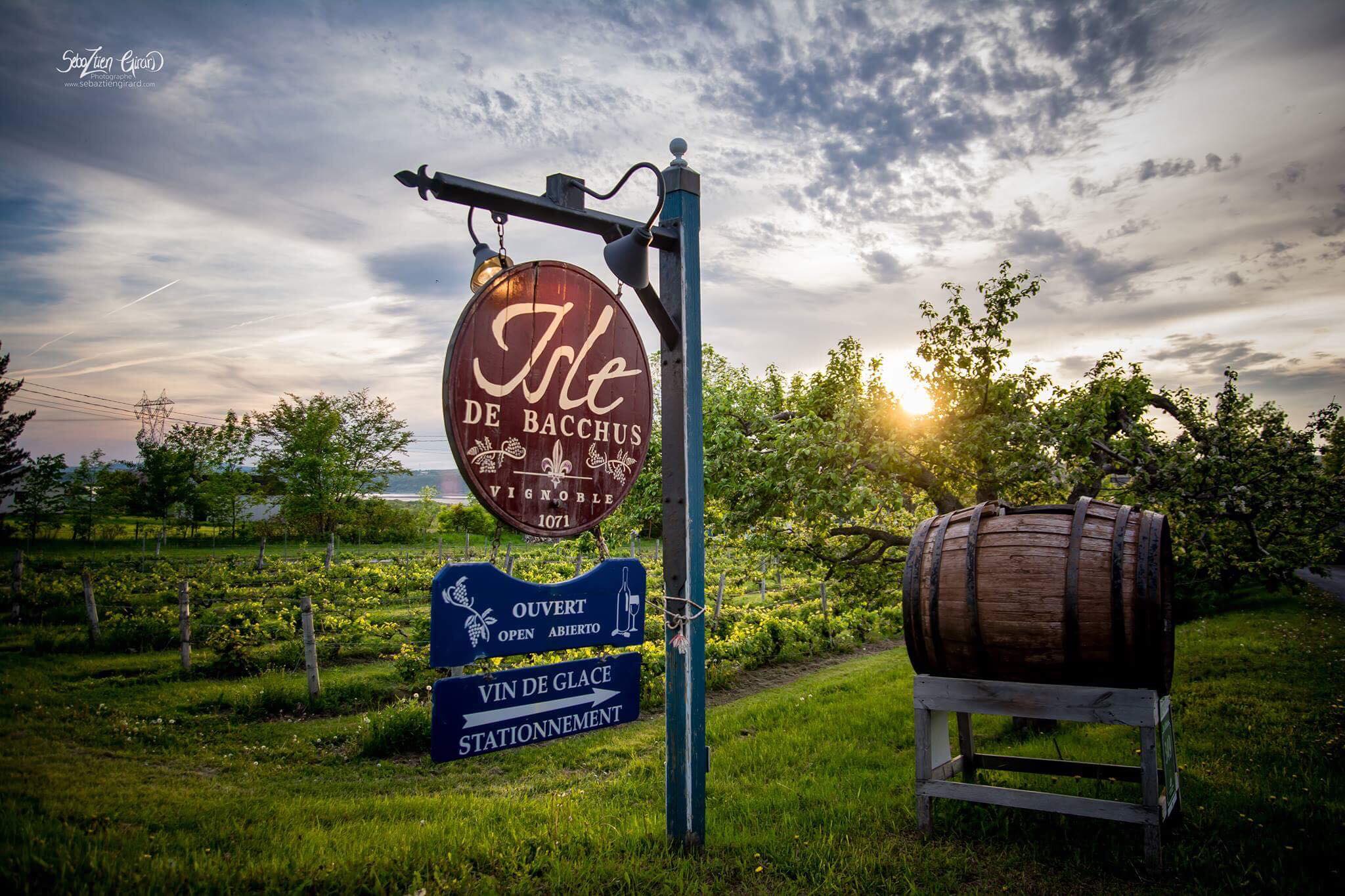 Affiche in situ du vignoble de L'Isle de Bacchus