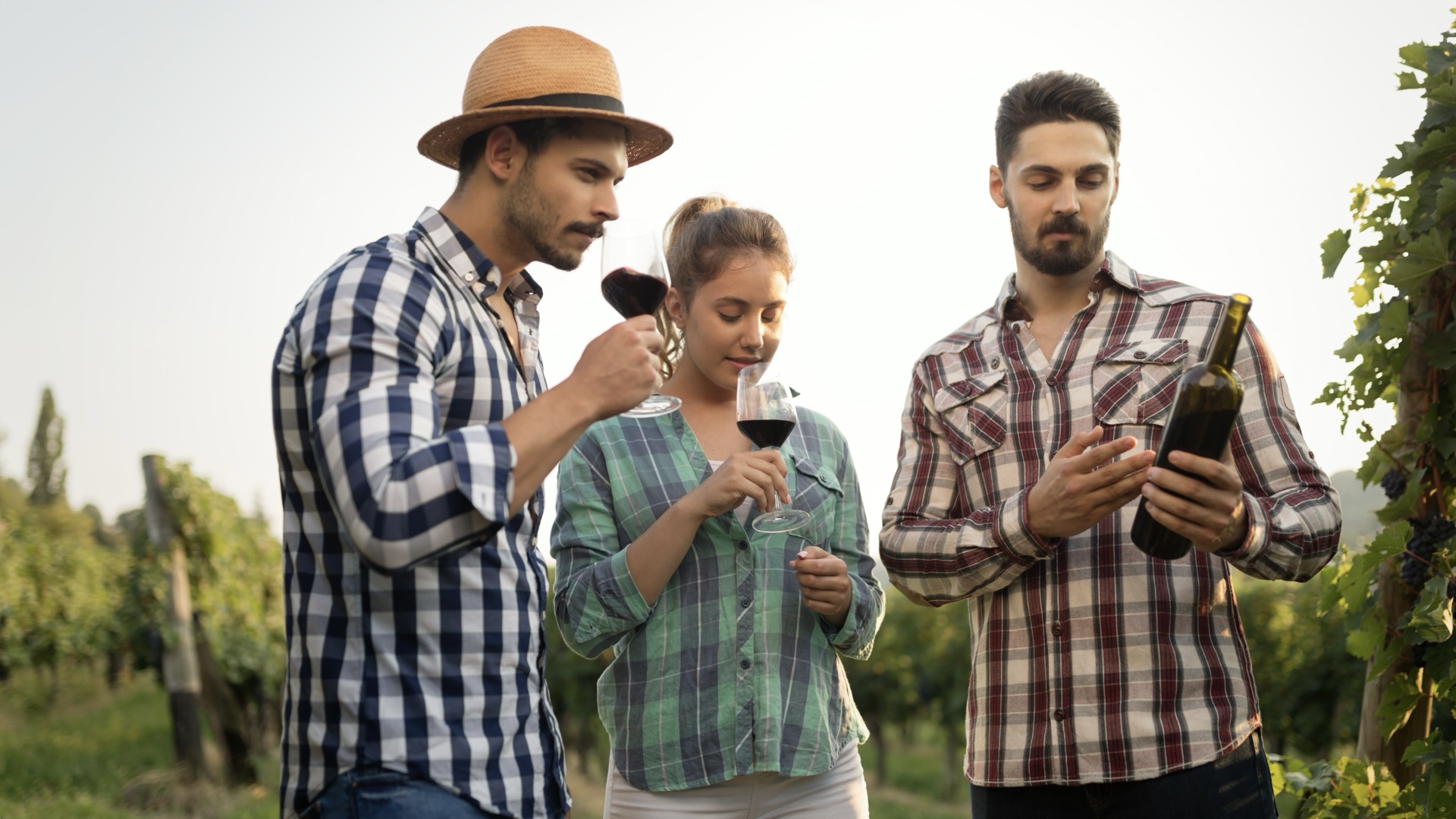Trois personnes qui dégustent du vin dans une vigne.